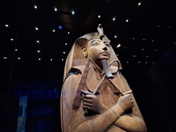 ACN ラムセス大王展 ファラオたちの黄金に投稿された画像（2025/12/21）