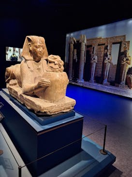 ACN ラムセス大王展 ファラオたちの黄金に投稿された画像（2025/12/21）