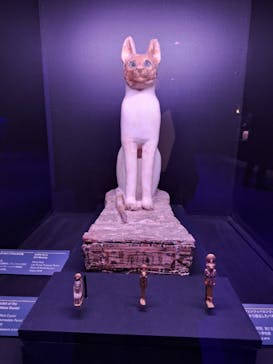 ACN ラムセス大王展 ファラオたちの黄金に投稿された画像（2025/12/21）