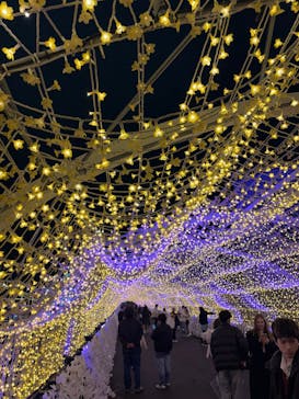 東京メガイルミに投稿された画像（2025/12/21）