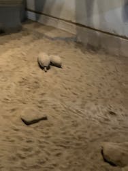 NIFREL（ニフレル）に投稿された画像（2025/12/21）