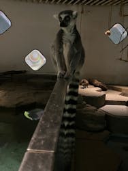 NIFREL（ニフレル）に投稿された画像（2025/12/21）