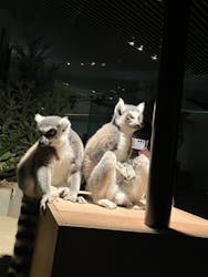 NIFREL（ニフレル）に投稿された画像（2025/12/21）