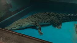 NIFREL（ニフレル）に投稿された画像（2025/12/21）