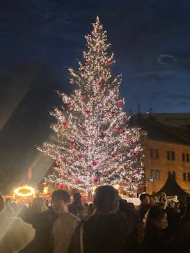 Christmas Market in 横浜赤レンガ倉庫 2025に投稿された画像（2025/12/21）