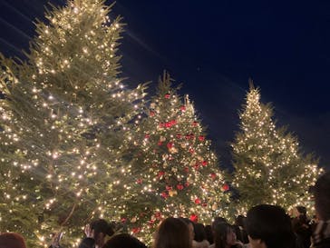Christmas Market in 横浜赤レンガ倉庫 2025に投稿された画像（2025/12/21）