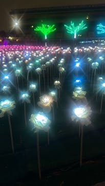 東京メガイルミに投稿された画像（2025/12/21）