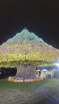 東京メガイルミに投稿された画像（2025/12/21）