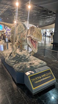 福井県立恐竜博物館に投稿された画像（2025/12/21）