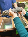 体感型動物園iZooに投稿された画像（2025/12/21）