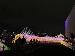 東京メガイルミに投稿された画像（2025/12/21）