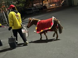 東京メガイルミに投稿された画像（2025/12/21）