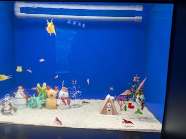 サンシャイン水族館に投稿された画像（2025/12/21）