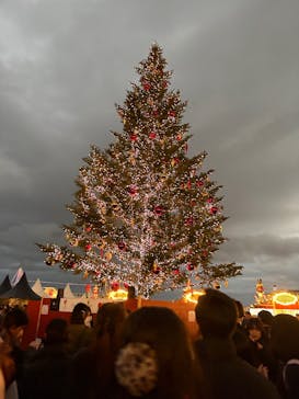 Christmas Market in 横浜赤レンガ倉庫 2025に投稿された画像（2025/12/21）