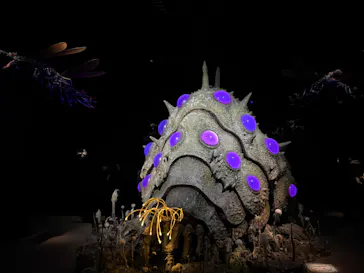 金曜ロードショーとジブリ展（静岡展）に投稿された画像（2025/12/21）