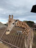 伊豆シャボテン動物公園に投稿された画像（2025/12/21）