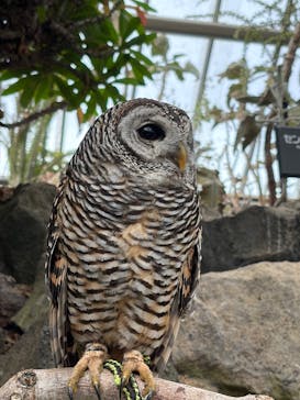 伊豆シャボテン動物公園に投稿された画像（2025/12/21）