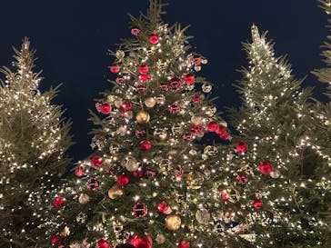 Christmas Market in 横浜赤レンガ倉庫 2025に投稿された画像（2025/12/21）