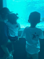 東京サマーランドに投稿された画像（2025/12/21）