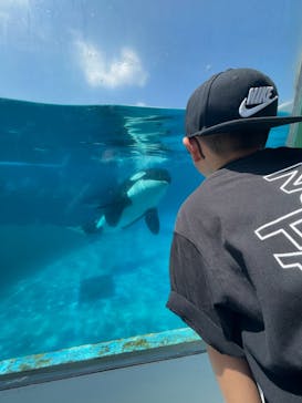 東京サマーランドに投稿された画像（2025/12/21）