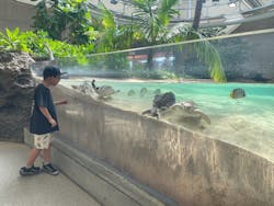 東京サマーランドに投稿された画像（2025/12/21）