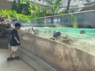 東京サマーランドに投稿された画像（2025/12/21）