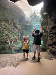 東京サマーランドに投稿された画像（2025/12/21）