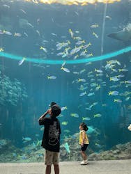 東京サマーランドに投稿された画像（2025/12/21）