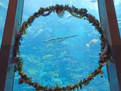 下田海中水族館に投稿された画像（2025/12/21）