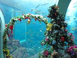 下田海中水族館に投稿された画像（2025/12/21）