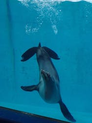 下田海中水族館に投稿された画像（2025/12/21）