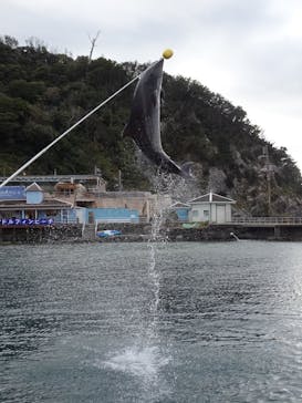 下田海中水族館に投稿された画像（2025/12/21）