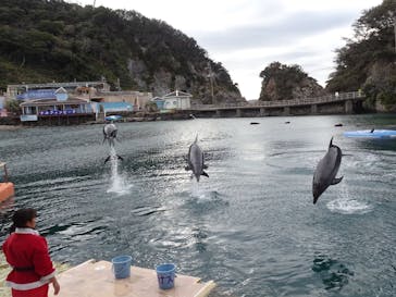 下田海中水族館に投稿された画像（2025/12/21）
