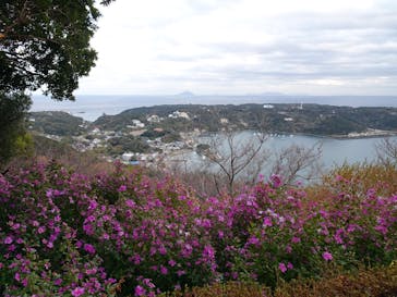 下田ロープウェイに投稿された画像（2025/12/21）