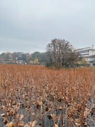 恩賜上野動物園に投稿された画像（2025/12/21）