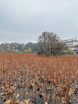 恩賜上野動物園に投稿された画像（2025/12/21）