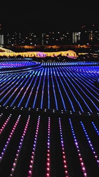 東京メガイルミに投稿された画像（2025/12/21）