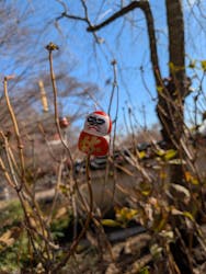 勝尾寺に投稿された画像（2025/12/21）