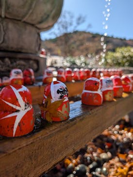 勝尾寺に投稿された画像（2025/12/21）