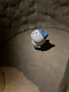 ちいかわパークに投稿された画像（2025/12/21）