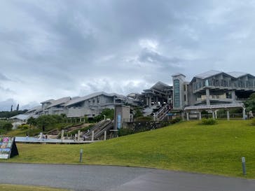 沖縄美ら海水族館に投稿された画像（2025/12/21）