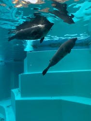 マリンワールド海の中道に投稿された画像（2025/12/21）