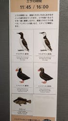 葛西臨海水族園に投稿された画像（2025/12/21）