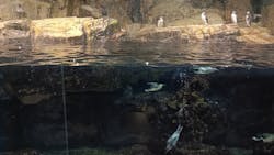 葛西臨海水族園に投稿された画像（2025/12/21）