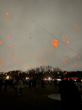 大泉緑地サンクスランタンに投稿された画像（2025/12/21）