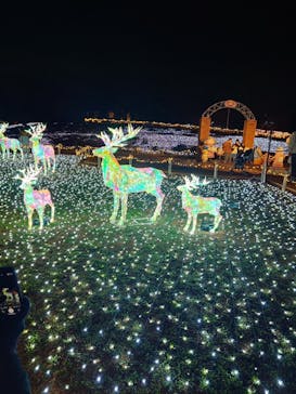 東武動物公園に投稿された画像（2025/12/21）