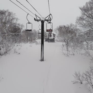 秋田八幡平スキー場に投稿された画像（2025/12/22）