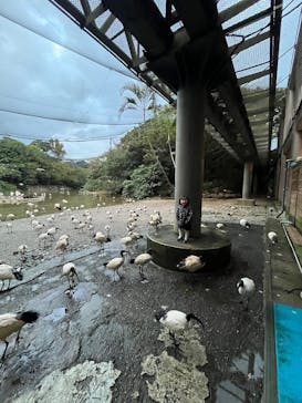 おきなわワールドに投稿された画像（2025/12/22）