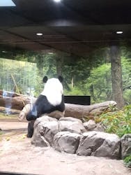 恩賜上野動物園に投稿された画像（2025/12/22）