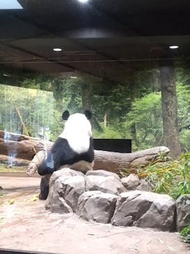 恩賜上野動物園に投稿された画像（2025/12/22）